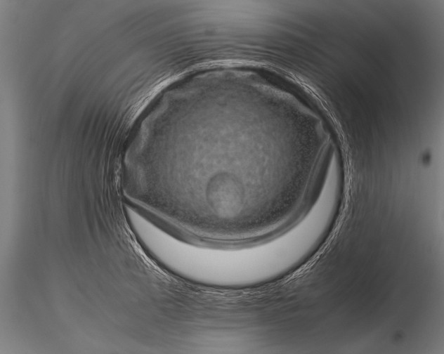 X0000116101185200912071252