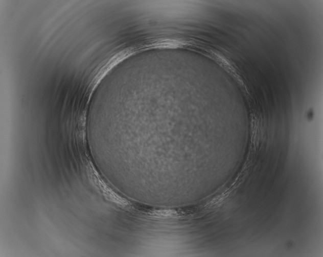 X0000116101186200912071252