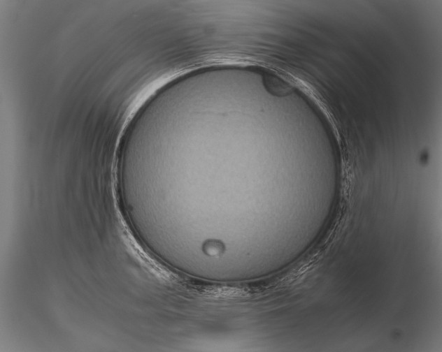 X0000116101187200912071252