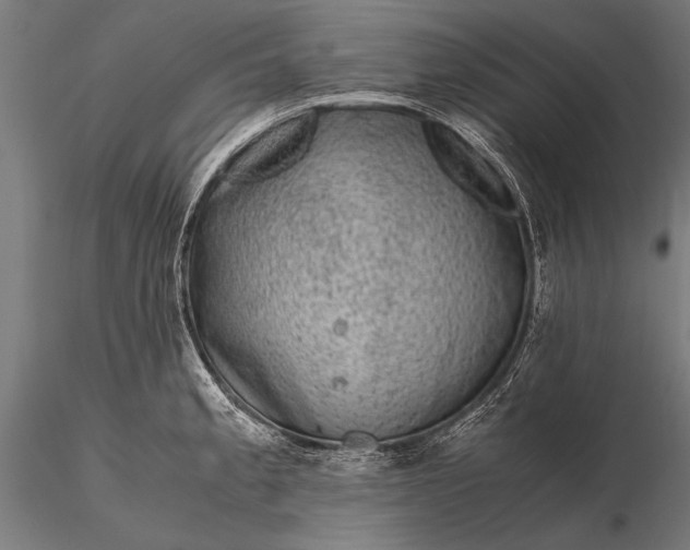 X0000116101189200912071252