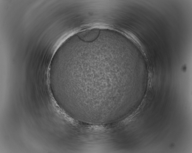 X0000116101190200912071252