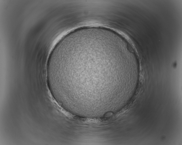 X0000116101191200912071252