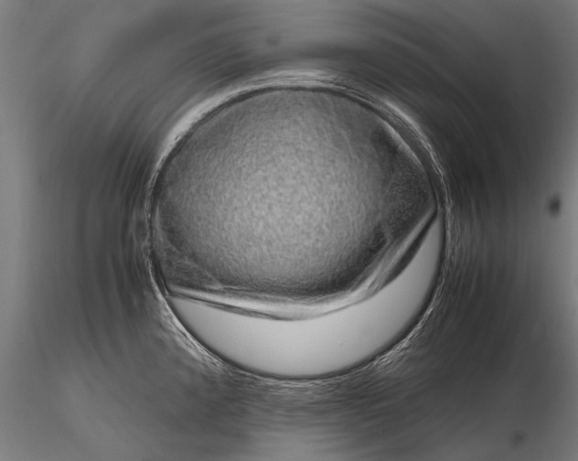 X0000116101192200912071252