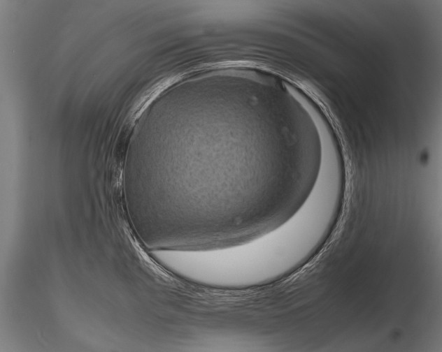 X0000116101193200912071252