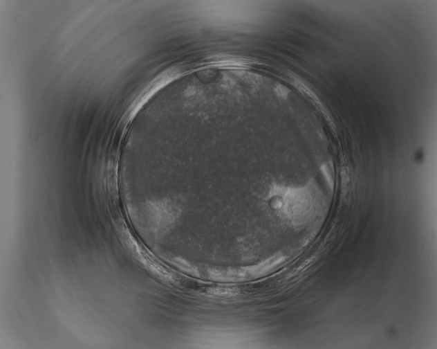 X0000116101194200912071252