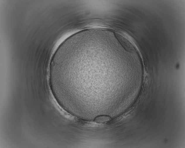 X0000116101195200912071252