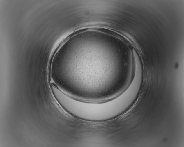 X0000116101196200912071252