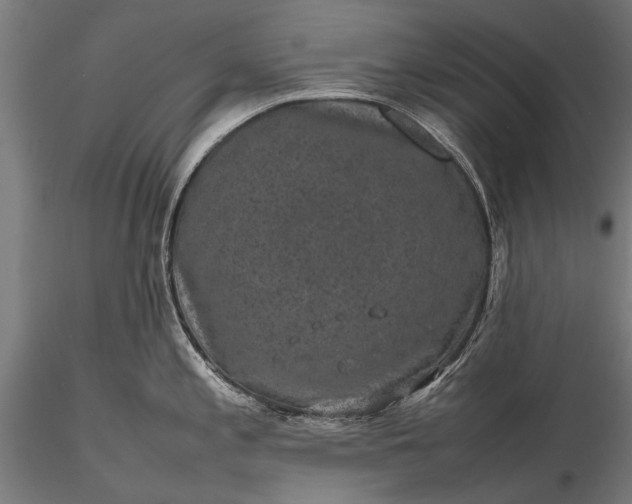 X0000116101197200912071252