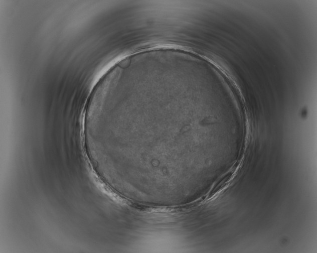 X0000116101198200912071252