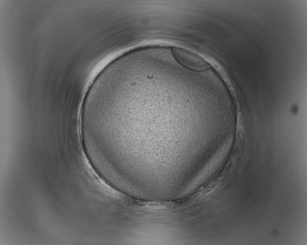 X0000116101199200912071252