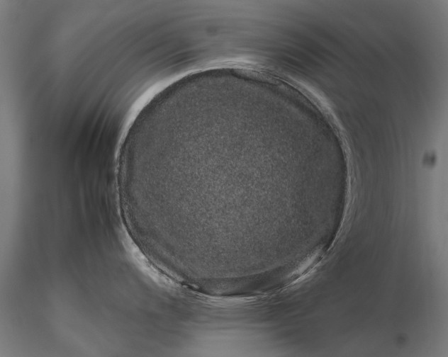 X0000116101200200912071252