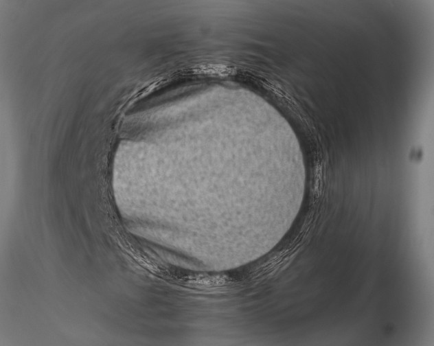 X0000116101201200912071251