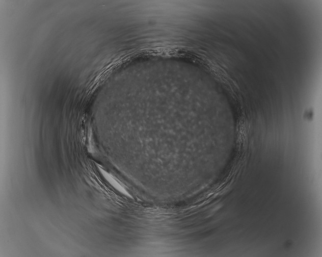 X0000116101202200912071251