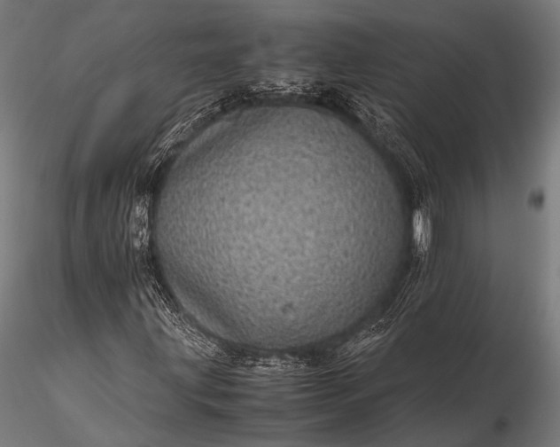 X0000116101203200912071251