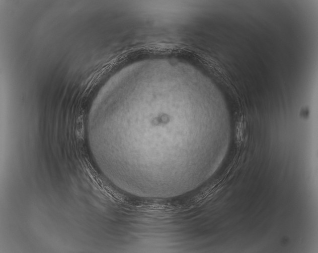 X0000116101204200912071251