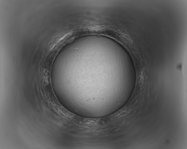 X0000116101205200912071251