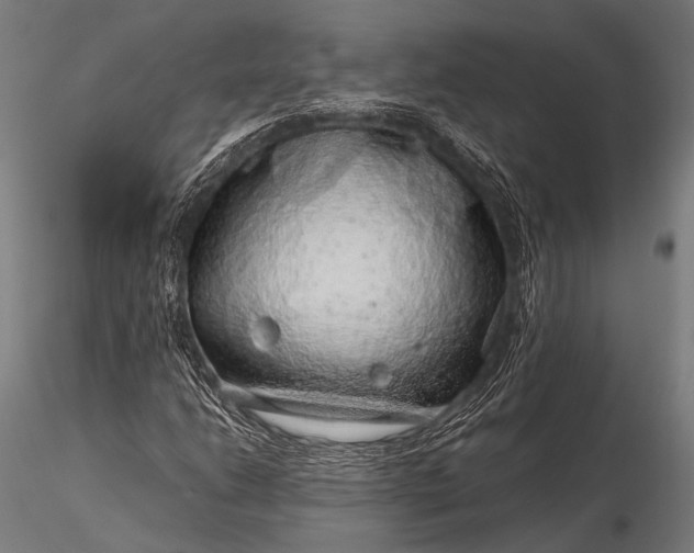 X0000116101206200912071251