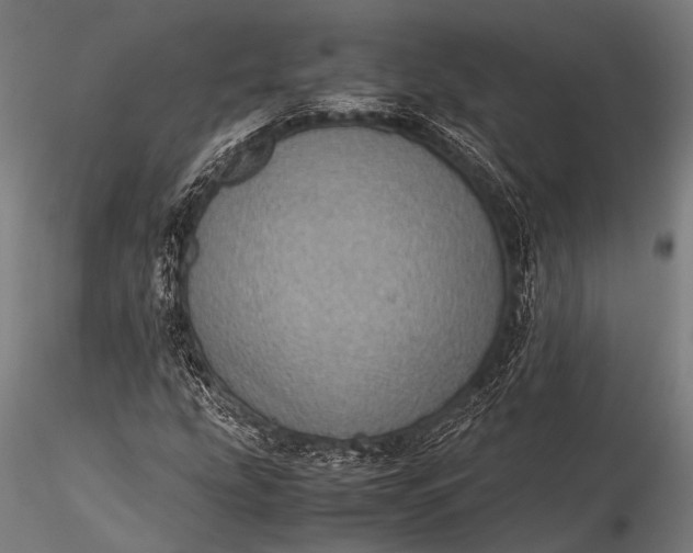 X0000116101207200912071251