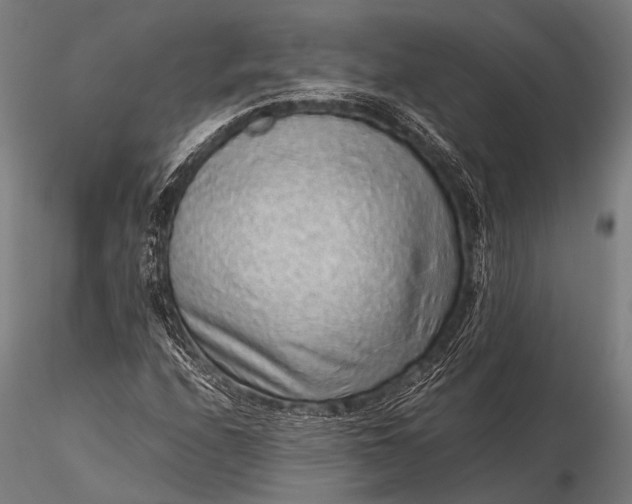 X0000116101208200912071251