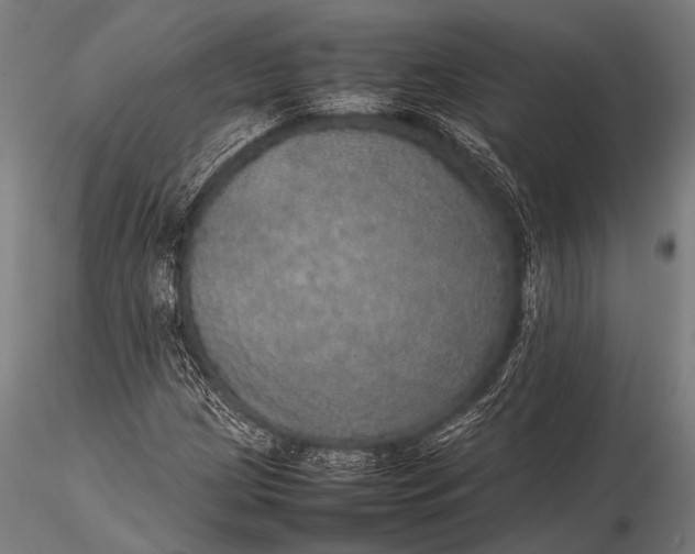 X0000116101209200912071251