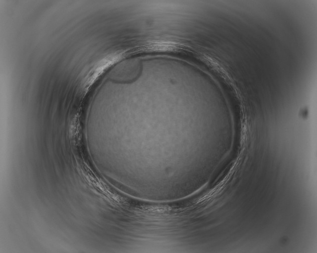 X0000116101210200912071251