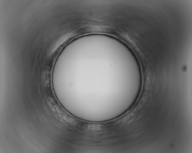 X0000116101211200912071251