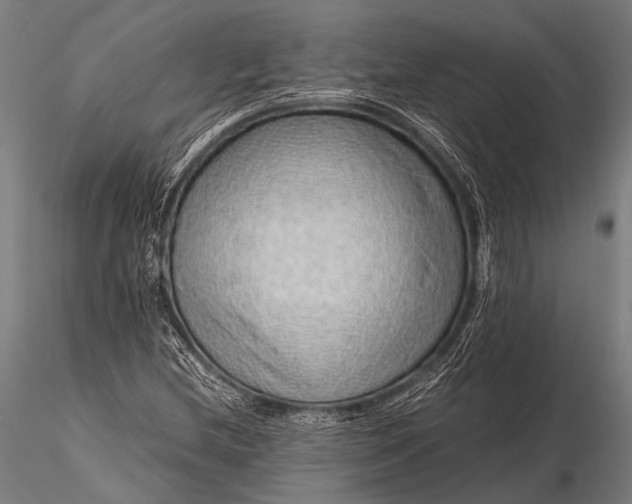 X0000116101212200912071251