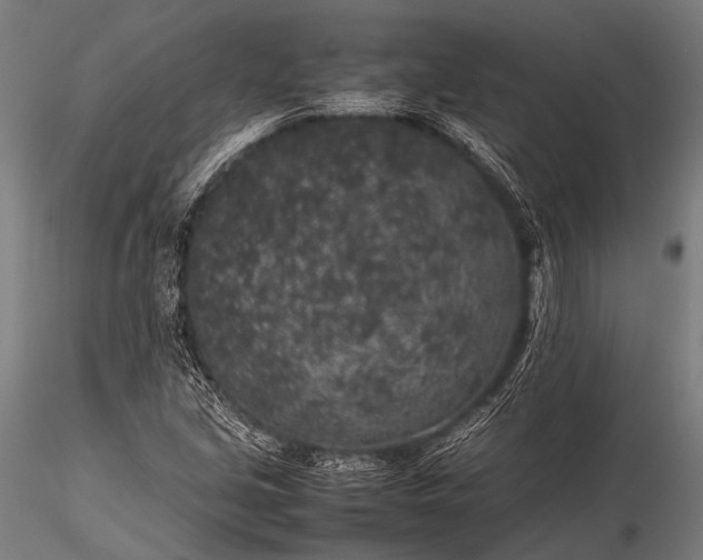 X0000116101213200912071251