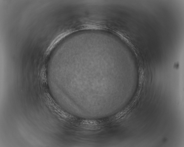 X0000116101215200912071251