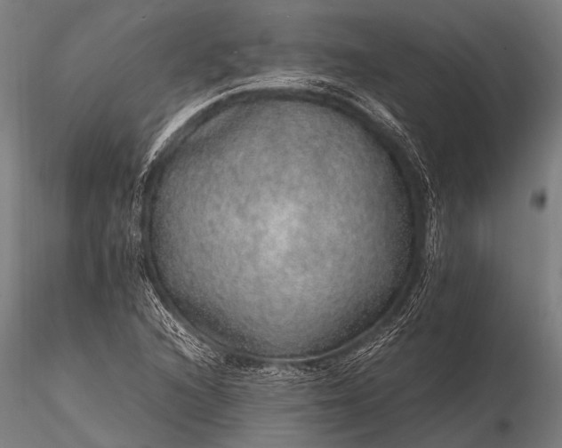 X0000116101216200912071251