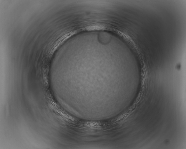 X0000116101217200912071251