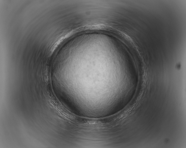 X0000116101218200912071251