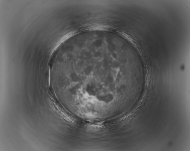 X0000116101219200912071252