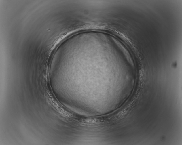 X0000116101220200912071252