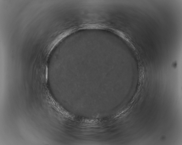 X0000116101221200912071252