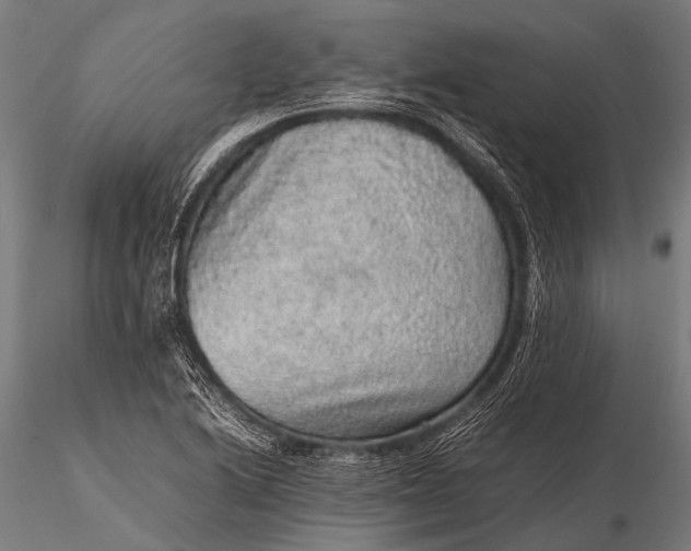 X0000116101222200912071252