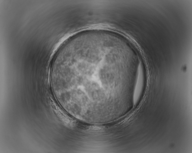 X0000116101224200912071252