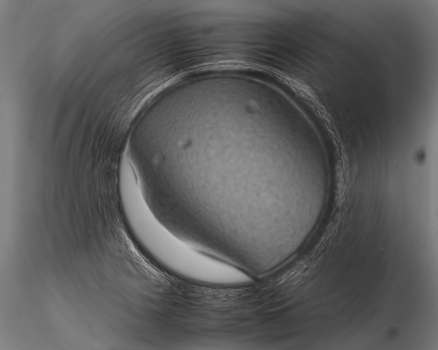 X0000116101225200912071252