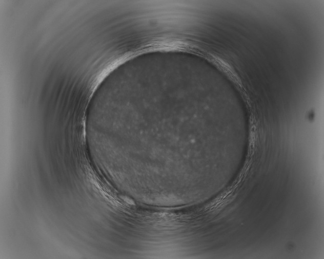 X0000116101226200912071252