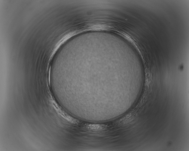 X0000116101227200912071252