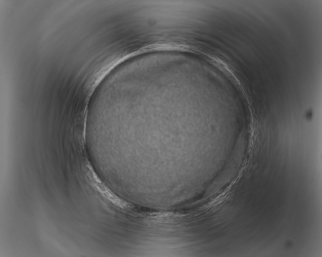 X0000116101228200912071252