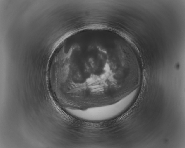 X0000116101229200912071252