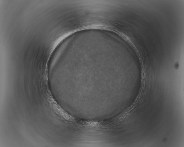 X0000116101230200912071252