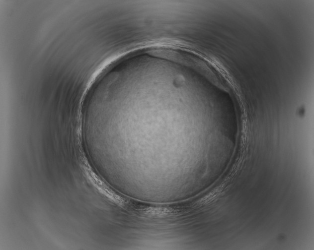 X0000116101232200912071252