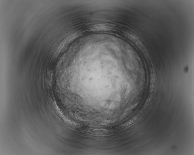 X0000116101233200912071252