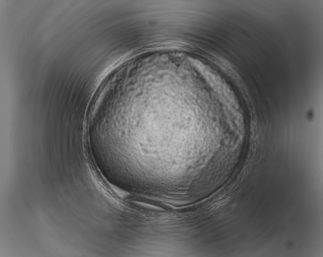 X0000116101234200912071252