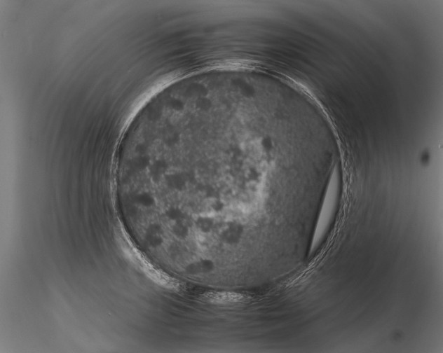 X0000116101235200912071252