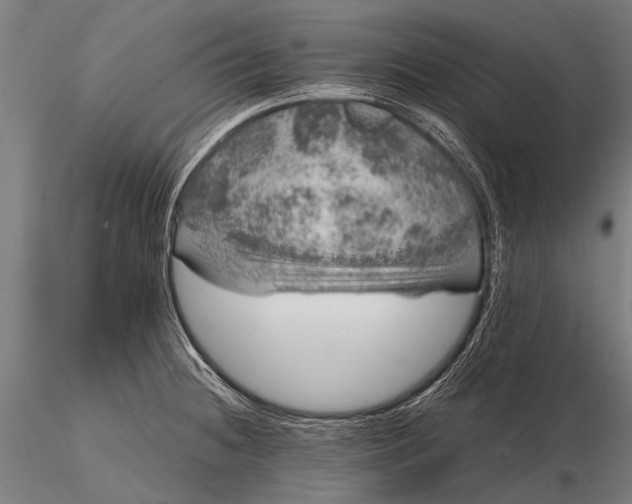 X0000116101236200912071252