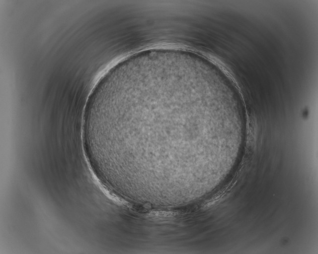 X0000116101237200912071252