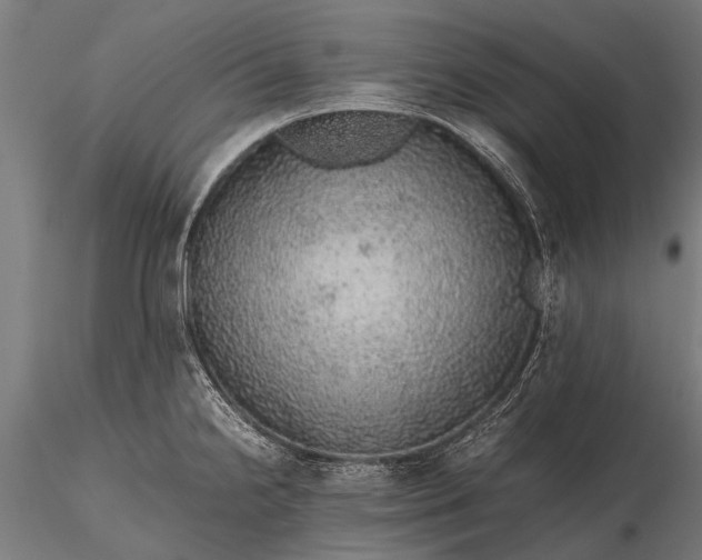 X0000116101238200912071252